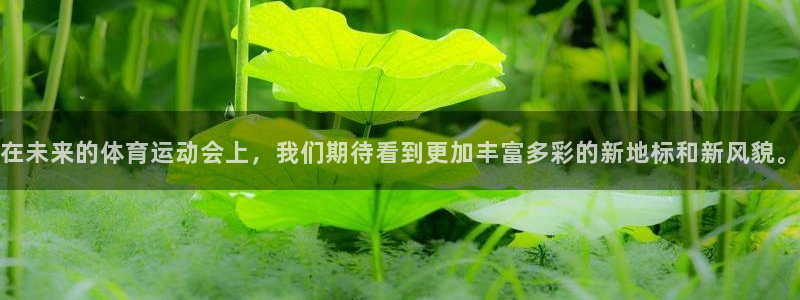 哈哈体育十年：在未来的体育运动会上，我们期待看到更加丰富多彩的新地标和新风貌。