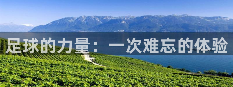 哈哈体育十年：足球的力量：一次难忘的体验