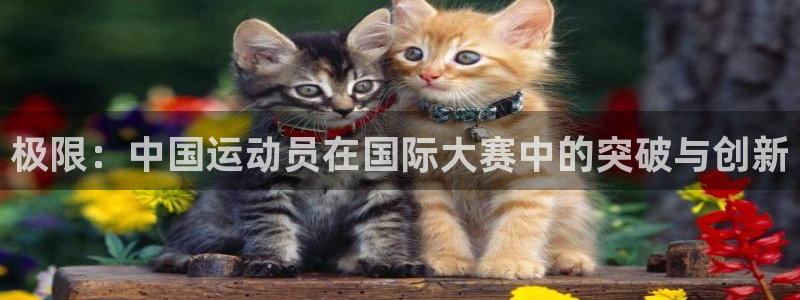 哈哈体育下载：极限：中国运动员在国际大赛中的突破与创新