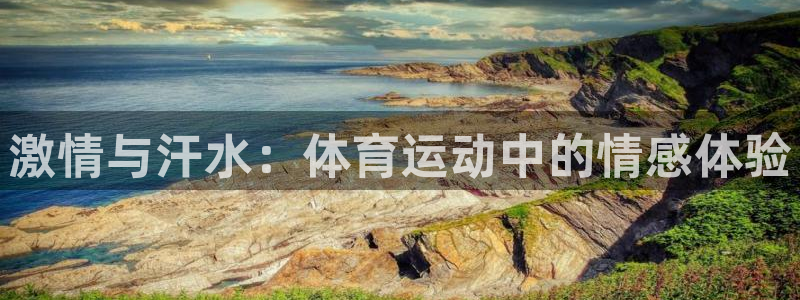 哈哈体育下载：激情与汗水：体育运动中的情感体验