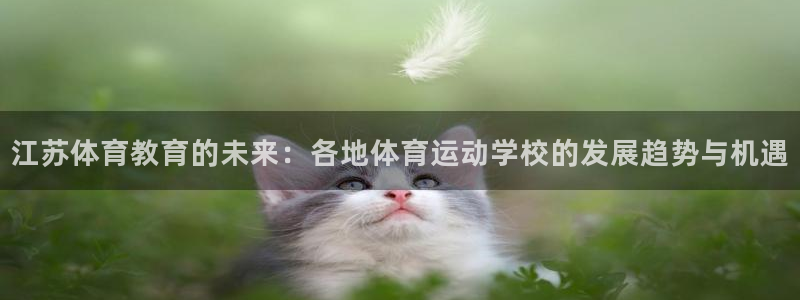 哈哈体育下载：江苏体育教育的未来：各地体育运动学校的发展趋势与机遇