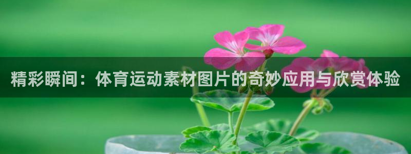 哈哈体育十年：精彩瞬间：体育运动素材图片的奇妙应用与欣赏体验
